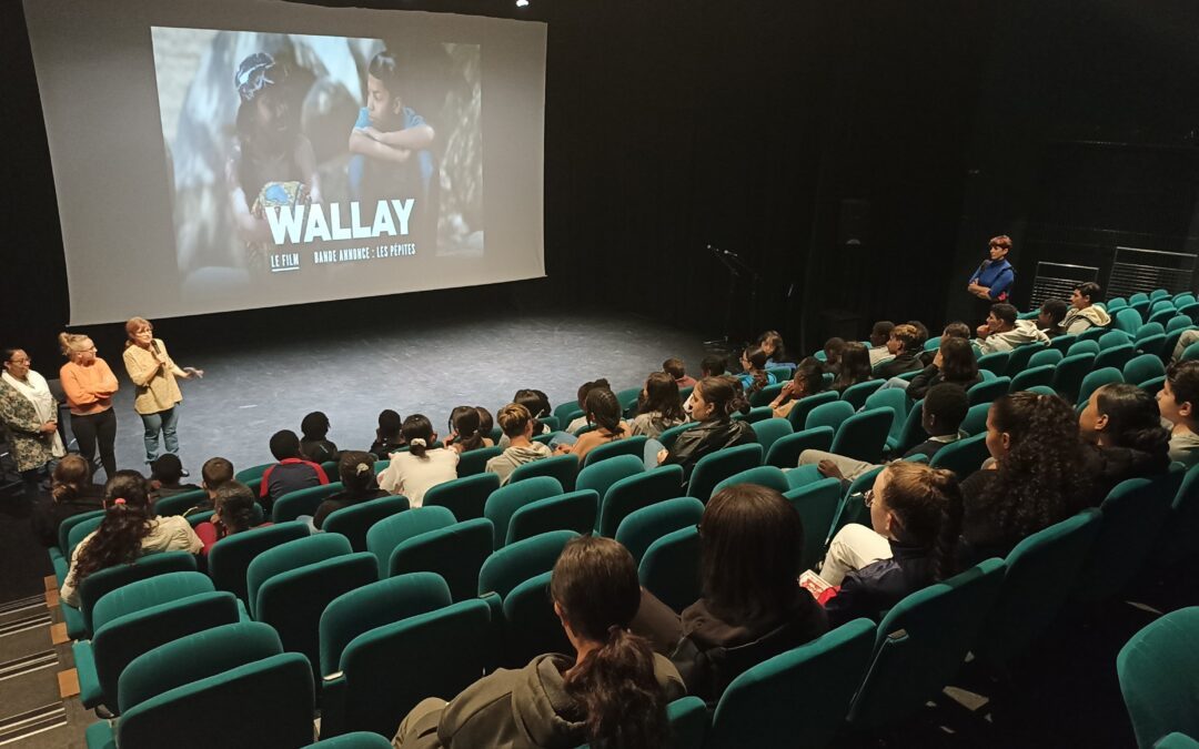 Projection du film Wallay