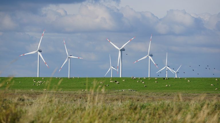 Visite du parc éolien de Vritz