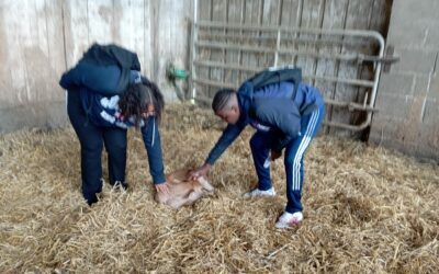 Visite d’une exploitation agricole